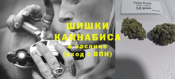 a pvp Горняк