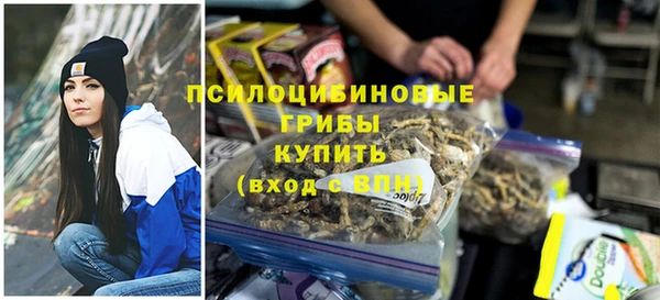 марки lsd Горно-Алтайск
